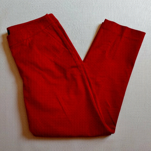 BEAUTIFUL Brocade Talbots Signature Pants Size 8